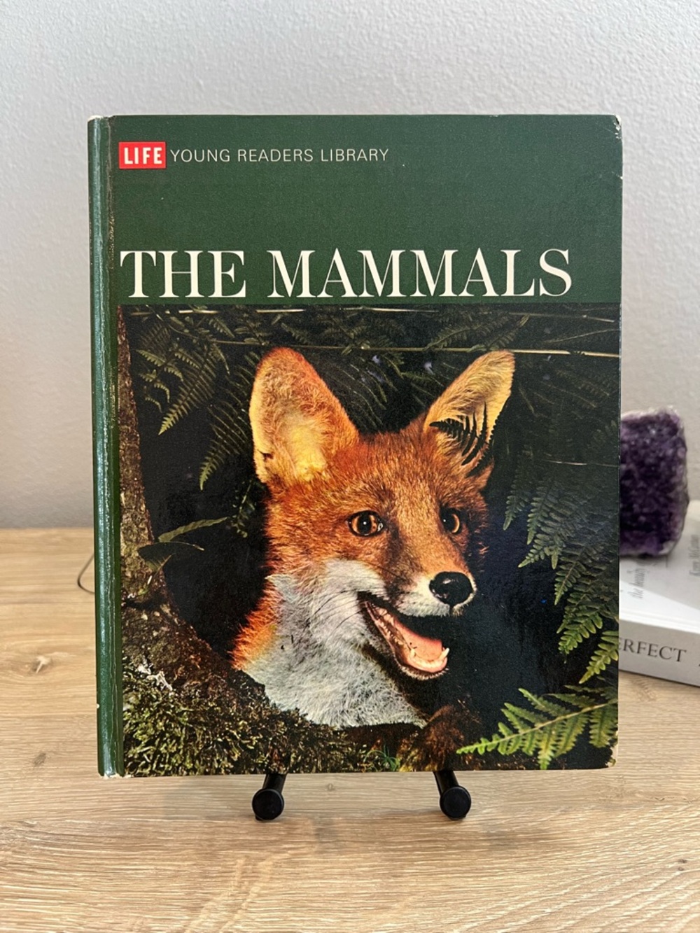 Vintage Life Young Readers The Mammals 1970 Nature Animal Book Illustrated